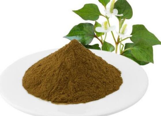 houttuynia-cordata-extract36493920845 Houttuynia Cordata Extract36493920845