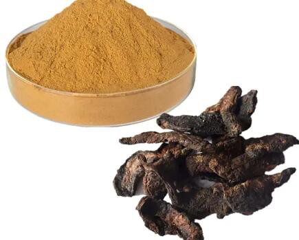 rehmannia-chinensis-root-extracte8a38d90-ea7e-4954-bbb6-5c85d5307c73 Rehmannia Chinensis Root Extracte8a38d90 Ea7e 4954 Bbb6 5c85d5307c73