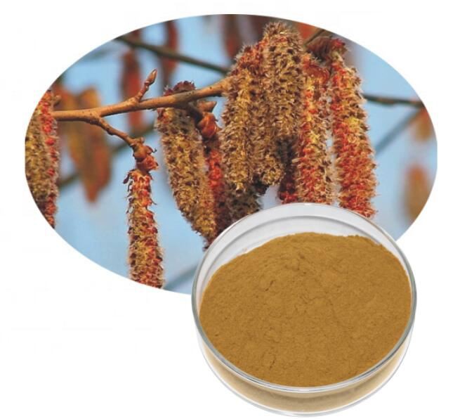 poplar-flower-extract59146985370 Poplar Flower Extract59146985370