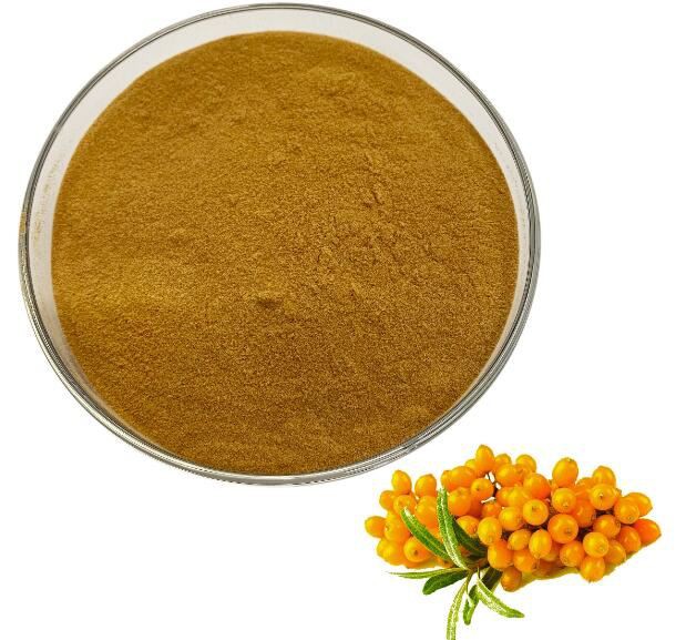 hippophae-rhamnoides-fruit-extract33321142884 Hippophae Rhamnoides Fruit Extract33321142884