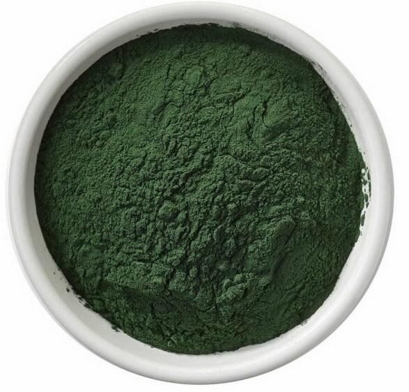 chlorella-powder46014041416 Chlorella Powder46014041416