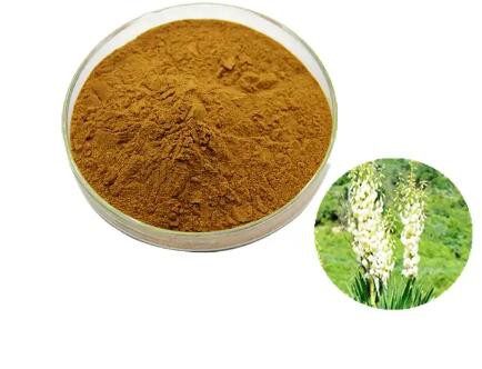 yucca-saponin172e53fb-5f0e-4a13-a0e5-8428bc164477 Yucca Saponin172e53fb 5f0e 4a13 A0e5 8428bc164477