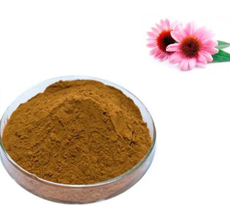 echinacea-extract-powder5781c82d-09ef-4170-8f7f-60e77685b136 Echinacea Extract Powder5781c82d 09ef 4170 8f7f 60e77685b136