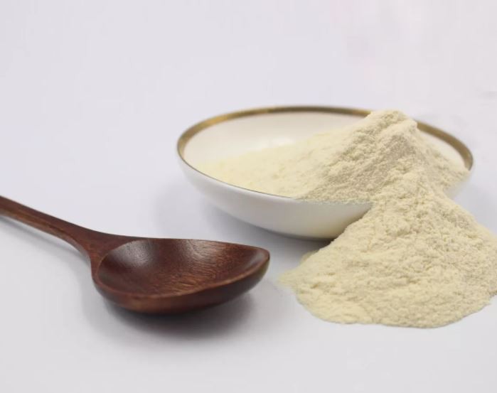 bacillus-licheniformis-protease39443005056 Bacillus Licheniformis Protease39443005056