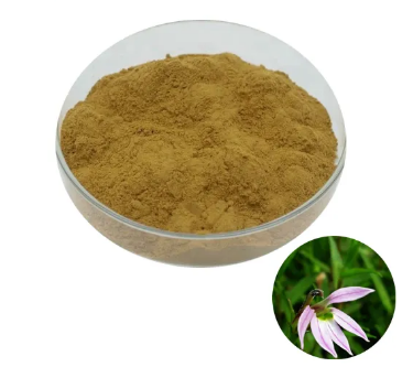Lobelia Herb Powder766b6e26 2fa6 424a B97a B4e3da8fcd7d