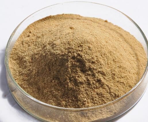 saccharomyces-cerevisiae16414344411 Saccharomyces Cerevisiae16414344411