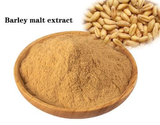 malt-extract45204815665 Malt Extract45204815665