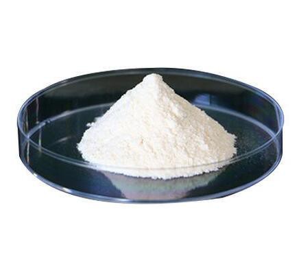 probiotics-streptococcus-thermophilus15050618793 Probiotics Streptococcus Thermophilus15050618793