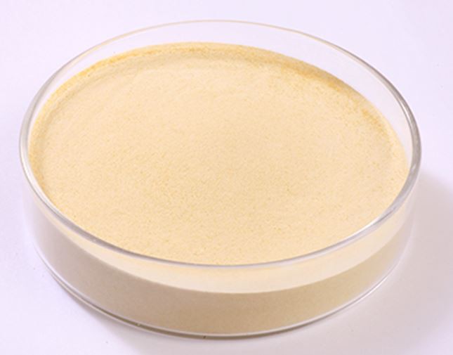 glucose-oxidase40495668875 Glucose Oxidase40495668875