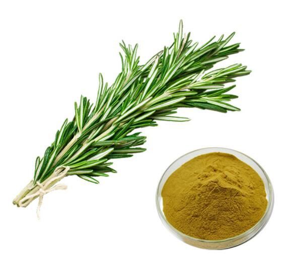 rosemary-powder52168249467 Rosemary Powder52168249467