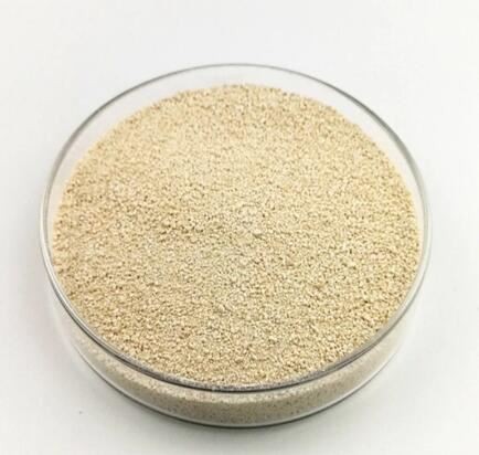 l-lysine47268559867 L Lysine47268559867