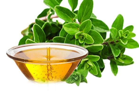 carvacrol13404192396 Carvacrol13404192396