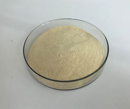 cellulase-digestive-enzyme33365157131 Cellulase Digestive Enzyme33365157131