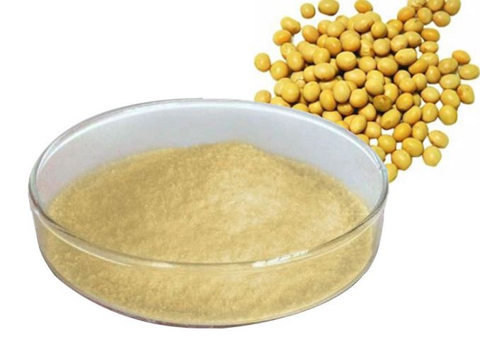soy-extract10397035104 Soy Extract10397035104