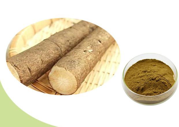 burdock-extract25442404498 Burdock Extract25442404498