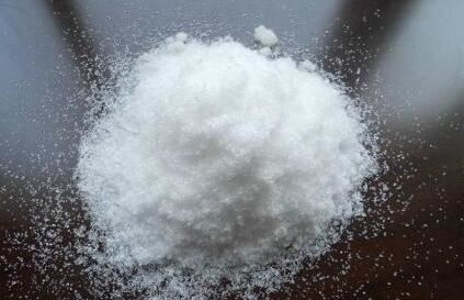 N202110261641021587510