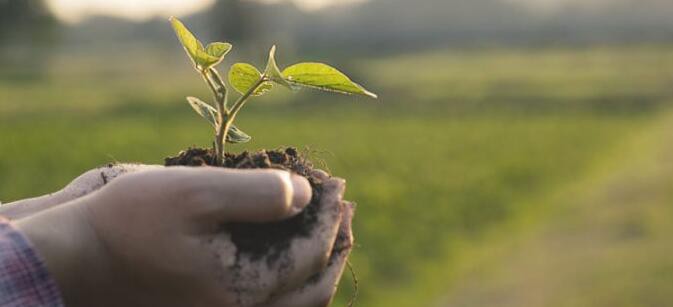 N202110141650498074454