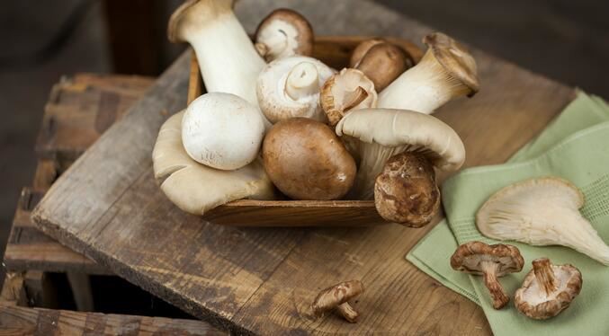 N202110181609132436065