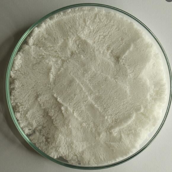 N202110271536066565516