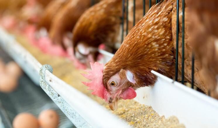 N202110211711574209712