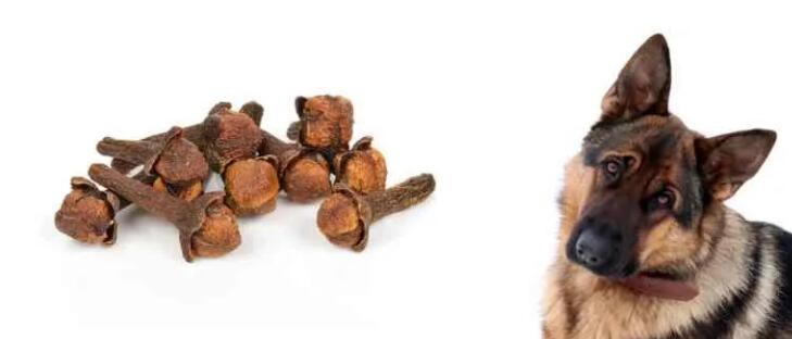 N202111221622104818155