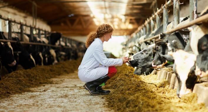 N202110191640092763229