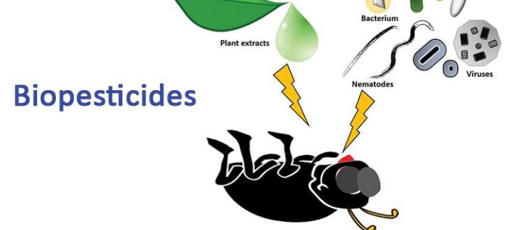 N202110131710241591899