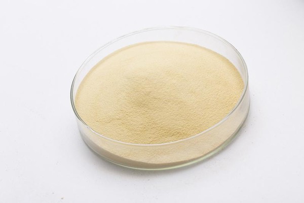 포도당 산화효소