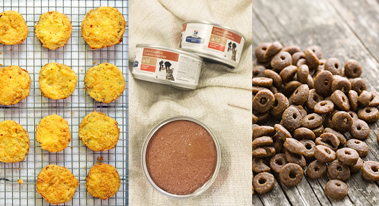 건조 호박 분말 활용법