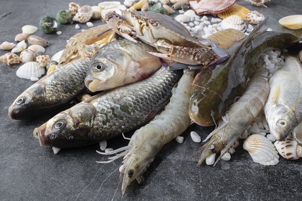 클로렐라 분말의 용도