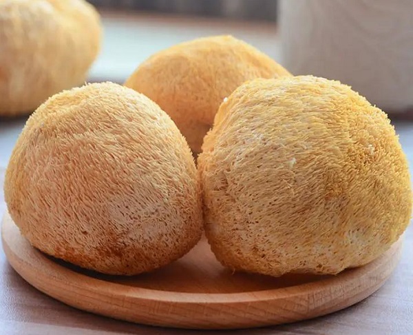 노루궁뎅이버섯