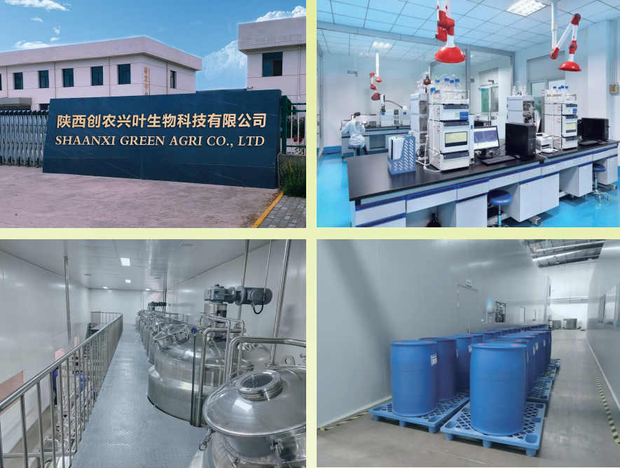 GROWTECH ANTALYA에서 만나보세요