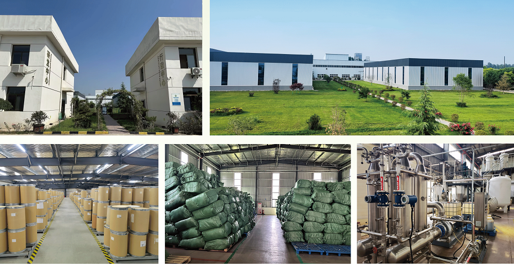 Green Agri's Factory